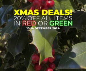 Christmas Deals 2024