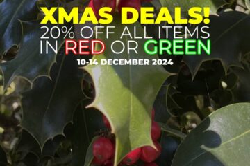 Christmas Deals 2024