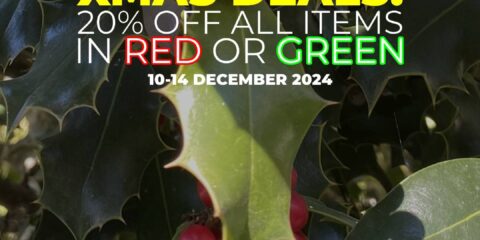 Christmas Deals 2024